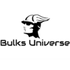 BULKS UNIVERSE