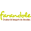 FARANDOLE, CRÉATEUR DE BOUQUETS DE CHOCOLATS