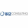 B12 CONSULTING