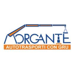 MORGANTE MARCELLO STEFANO - NOLEGGIO GRU E PIATTAFORME AEREE