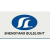 SHENYANG BLUELIGHT AUTOMATIC TECHNOLOGY CO., LTD.