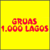 GRÚAS 1000 LAGOS