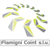 FLAMIGNI COINT S.L.